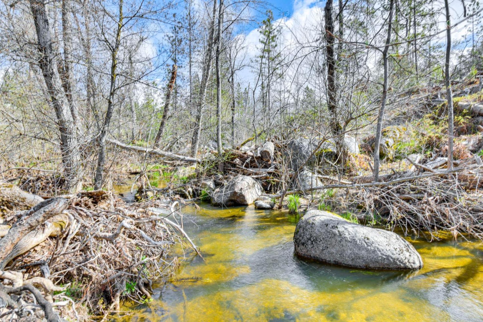 Waterfront Mariposa Hideaway Hot Tub And Mtn Views! Βίλα Εξωτερικό φωτογραφία